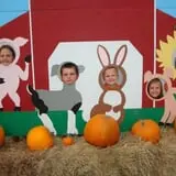 Pleasure Valley Llamas and Pumpkins photo