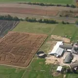 Pleasure Valley Llamas and Pumpkins photo