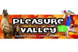 Pleasure Valley Llamas and Pumpkins