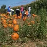 Ontario Orchards Farm photo