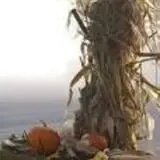 Ontario Orchards Farm photo
