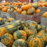 Ontario Orchards Farm photo