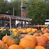 Ontario Orchards Farm photo
