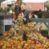 Ontario Orchards Farm photo