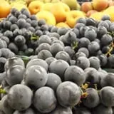 Ontario Orchards Farm photo
