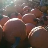 Ontario Orchards Farm photo