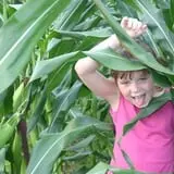 Ontario Orchards Farm photo