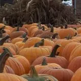 Ontario Orchards Farm photo