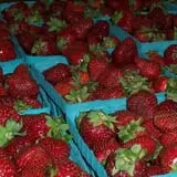 Ontario Orchards Farm photo