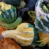 Ontario Orchards Farm photo