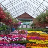 Ontario Orchards Farm photo