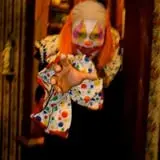 Sleepy Hollow Haunted Acres photo