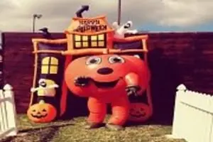 Calabasas Pumpkin Festival