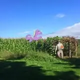 Equinox Valley Nursery Pumpkin Patch photo