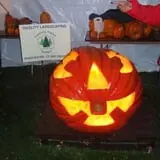 Equinox Valley Nursery Pumpkin Patch photo
