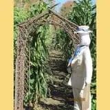 Equinox Valley Nursery Pumpkin Patch photo