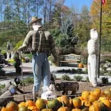 Equinox Valley Nursery Pumpkin Patch photo
