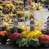 Equinox Valley Nursery Pumpkin Patch photo