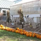 Equinox Valley Nursery Pumpkin Patch photo