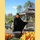 Equinox Valley Nursery Pumpkin Patch photo