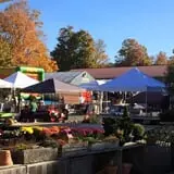 Equinox Valley Nursery Pumpkin Patch photo