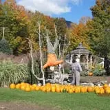 Equinox Valley Nursery Pumpkin Patch photo