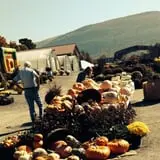 Equinox Valley Nursery Pumpkin Patch photo