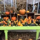 Equinox Valley Nursery Pumpkin Patch photo