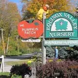 Equinox Valley Nursery Pumpkin Patch photo