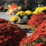 Equinox Valley Nursery Pumpkin Patch photo