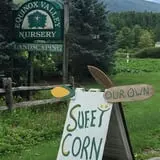 Equinox Valley Nursery Pumpkin Patch photo