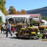 Equinox Valley Nursery Pumpkin Patch photo