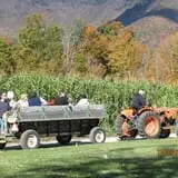 Equinox Valley Nursery Pumpkin Patch photo