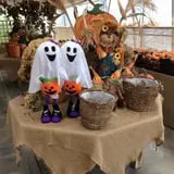 Equinox Valley Nursery Pumpkin Patch photo