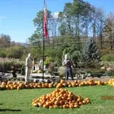 Equinox Valley Nursery Pumpkin Patch photo