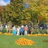 Equinox Valley Nursery Pumpkin Patch photo