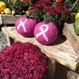 Equinox Valley Nursery Pumpkin Patch photo