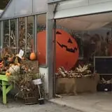 Equinox Valley Nursery Pumpkin Patch photo