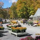Equinox Valley Nursery Pumpkin Patch photo
