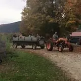 Equinox Valley Nursery Pumpkin Patch photo