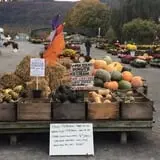 Equinox Valley Nursery Pumpkin Patch photo