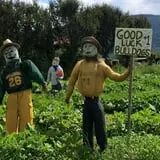 Equinox Valley Nursery Pumpkin Patch photo