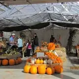 Equinox Valley Nursery Pumpkin Patch photo