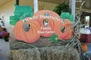 Family Tree Farm Corn Maze & Pumpkin Patch