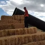 Long Neck Pumpkin Farm photo