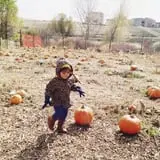 Long Neck Pumpkin Farm photo