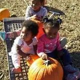 Long Neck Pumpkin Farm photo
