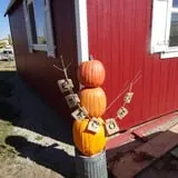 Long Neck Pumpkin Farm photo