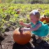 Long Neck Pumpkin Farm photo