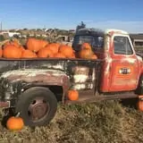 Long Neck Pumpkin Farm photo
